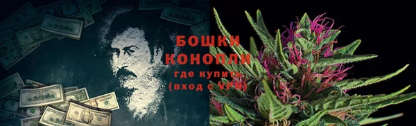 шишки Белоозёрский