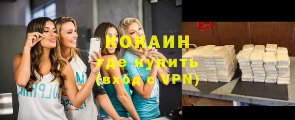 шишки Белоозёрский