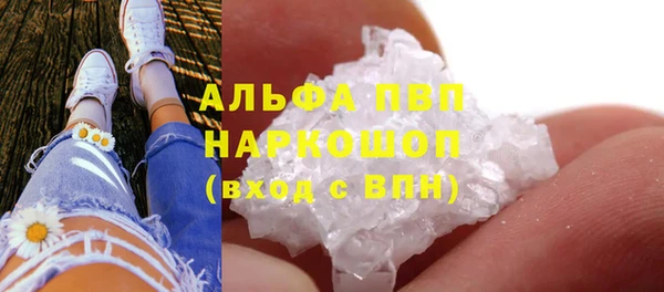 шишки Белоозёрский