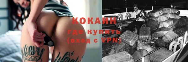 сатива Белокуриха
