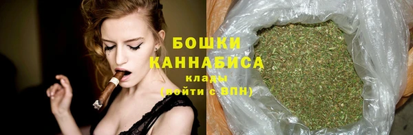шишки Белоозёрский