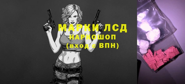 сатива Белокуриха
