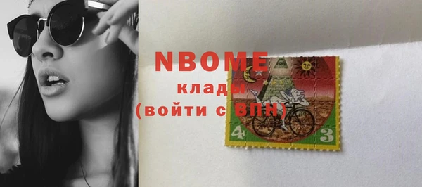 шишки Белоозёрский