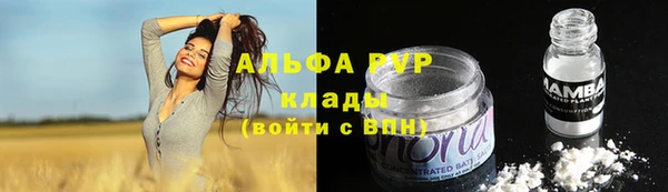 шишки Белоозёрский
