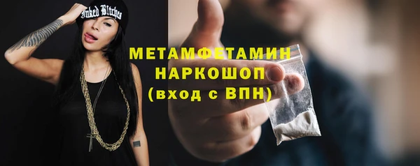 шишки Белоозёрский
