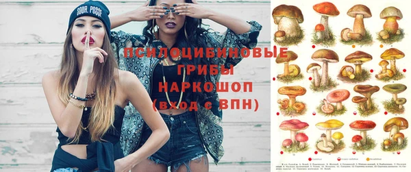 шишки Белоозёрский
