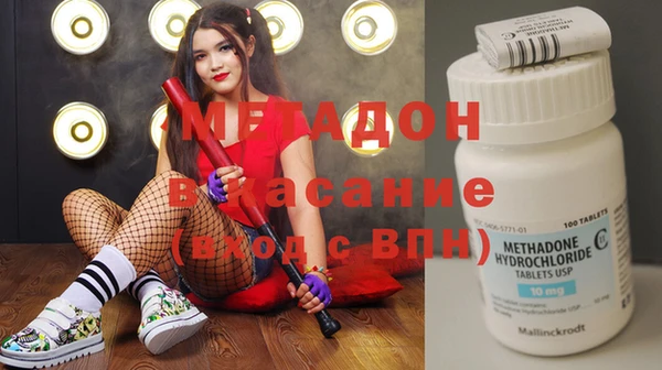 сатива Белокуриха