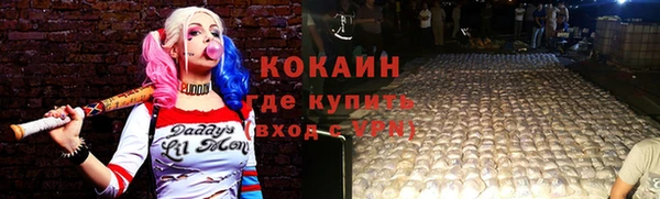 шишки Белоозёрский