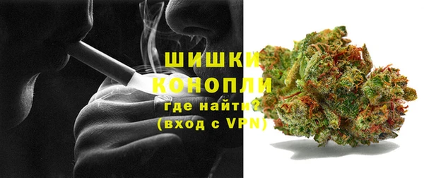 шишки Белоозёрский
