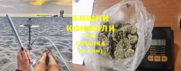 шишки Белоозёрский